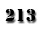 213